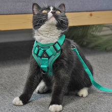 Load image into Gallery viewer, TBD06037462_B7.jpg@41581e19e8761e8b057d546cb335bc8c
