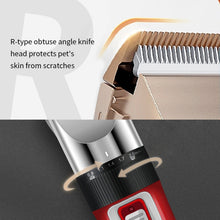 Load image into Gallery viewer, TBD06037546_B7.jpg@92177d6a80f7d9d61814108bbfba317e
