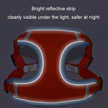 Load image into Gallery viewer, TBD06039164_B3.jpg@443632ab2444531507a07ab8d5a22604
