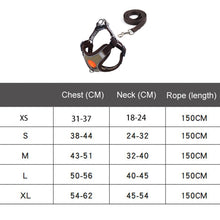 Load image into Gallery viewer, TBD06039164_B7.jpg@54f689890ebc99986f21a5eb4103cba8
