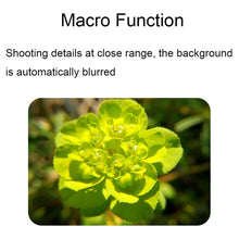 Load image into Gallery viewer, TBD06039435_B4.jpg@84d846db7a9cbbc3e816b046fe3db2f9
