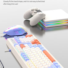 Load image into Gallery viewer, TBD06039983_B10.jpg@956c2120e45f6eeb5027ab83a2f3c292
