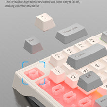 Load image into Gallery viewer, TBD06039983_B3.jpg@ed6c82f1a342514ad2e59ac41fc63fc1
