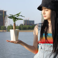 Load image into Gallery viewer, TBD06040043_B5.jpg@f95f6841a4ed05dc2c19e2af4dd81ac9
