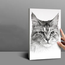 Load image into Gallery viewer, TBD0604005701.jpg@9f2f64f1f085a8b50b124e1b81bd211b
