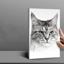 Load image into Gallery viewer, TBD0604005702.jpg@bdcae5e388c933a0b2d12939e7cce6b8
