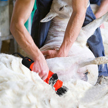 Load image into Gallery viewer, TBD06040347_B7.jpg@9f95186d499a23a6726a1e162b278d56
