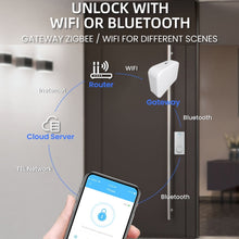 Load image into Gallery viewer, TBD06040490_B11.jpg@7970787dd0df3691e5858f4464a8d79d
