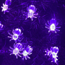 Load image into Gallery viewer, TBD0604053501B.jpg@07d59e7291158200784064aa78c57886
