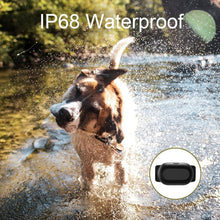 Load image into Gallery viewer, TBD06040564_B7.jpg@8817b335ad00907e247ecda69ff2b931
