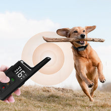 Load image into Gallery viewer, TBD06040569_B1.jpg@4a787077bbf5cf64165fb8b63d20021b
