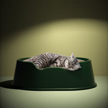 Load image into Gallery viewer, TBD06040597_B8.jpg@adbdd2a41a61b99c5a5d5896243e4ba8
