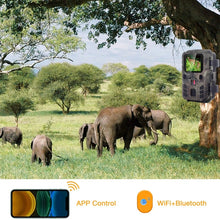 Load image into Gallery viewer, TBD06040728_B5.jpg@8f900f25362b2cd1cfa03968cb160463
