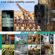 Load image into Gallery viewer, TBD06040812_B9.jpg@55ecd57e3dba9cd73b0a0d6b8d2a26d8
