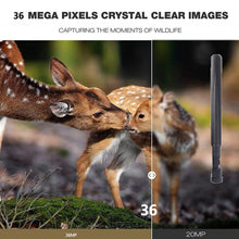 Load image into Gallery viewer, TBD06040847_B7.jpg@ff455b00e49ec19545a018068caa67b3
