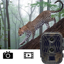 Load image into Gallery viewer, TBD0604100101.jpg@54a058d8803a54e055afedc01f092f78
