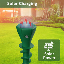 Load image into Gallery viewer, TBD06041586_B2.jpg@6f08595a47a3b10efddfecb6b602f377
