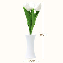 Load image into Gallery viewer, TBD06042449_B1.jpg@e1f790e00d603b08ae1851b4100bfc55
