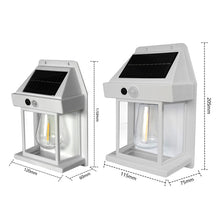 Load image into Gallery viewer, TBD06043205_B1.jpg@9dbe3499087a4fca4bf187f6ccf843f7
