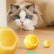 Load image into Gallery viewer, TBD06044204_B6.jpg@b127488b53dca796e8f4d0486701e36a

