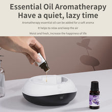 Load image into Gallery viewer, TBD06044269_B4.jpg@e3c1c1396a7713811c53b4de7887e101
