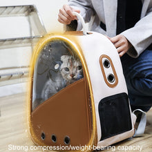 Load image into Gallery viewer, TBD06044790_B5.jpg@7985fc3ccfdab8aa7267f3a3a01e62ae
