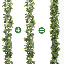 Load image into Gallery viewer, TBD06044799_B3.jpg@6fc4b7583656798b5eebb26c58013c93
