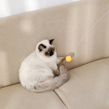 Load image into Gallery viewer, TBD06044891_B2.jpg@c064e6b28a45eddb9de34f3693a25ee5

