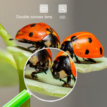 Load image into Gallery viewer, TBD06045088_5.jpg@f4768d240380c089d7249db45144d608
