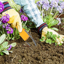 Load image into Gallery viewer, TBD06045244_B3.jpg@d912a81f862cefa361514e93018df1a7
