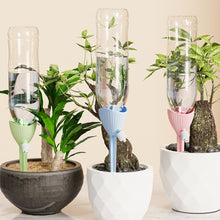 Load image into Gallery viewer, TBD06045282_B9.jpg@a0fed199a688a6310d2fab151ec113bd
