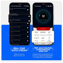 Load image into Gallery viewer, TBD06045646_B7.jpg@ce040d7d1cfb1b98c08cb9283f0526d5
