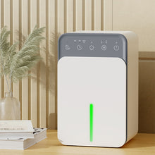 Load image into Gallery viewer, TBD06045764_B1.jpg@210e83fb6b30033dd3c8ef4e9e56adb6
