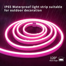 Load image into Gallery viewer, TBD06046160_B4.jpg@eb950976bce5bd76e00c388788bd7d7e
