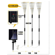 Load image into Gallery viewer, TBD06046208_B2.jpg@be5736a627ed9235513e74d934616863
