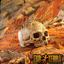 Load image into Gallery viewer, TBD06046652_B1.jpg@a35aafc3ac2c43a047649d1f09939847
