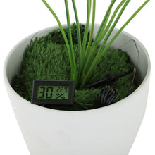 Load image into Gallery viewer, TBD06047523_B4.jpg@0cda6653693619539075e8afe9361960
