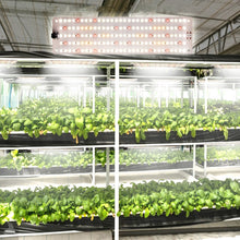 Load image into Gallery viewer, TBD06047746_B1.jpg@ce06560b76a73c55bcf565e4ee750ac6
