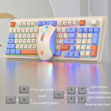 Load image into Gallery viewer, TBD06047773_B10.jpg@58dda93a92058830f96bd2b343024d5f
