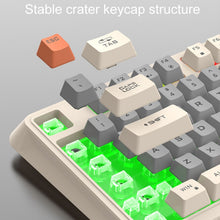 Load image into Gallery viewer, TBD06047773_B5.jpg@27f12a2709299f0a67a2cf9be662e88c
