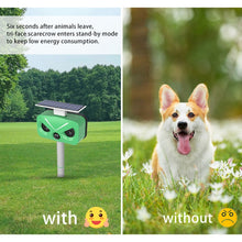 Load image into Gallery viewer, TBD06047893_B7.jpg@1599828a2688abf8422d6d81a9fd851c
