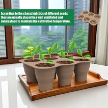 Load image into Gallery viewer, TBD06047900_B1.jpg@f28e4cedcd474b85cf03a879bf28d62c
