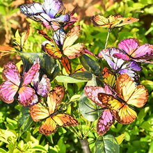 Load image into Gallery viewer, TBD06048018_B1.jpg@862ef00f095ca8c7c9509b02be8ddda9

