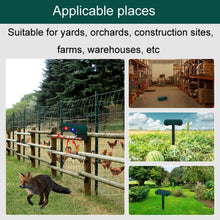 Load image into Gallery viewer, TBD06048151_B6.jpg@4598e942161f4ef0f16c7c6deceaecc8
