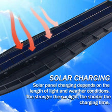 Load image into Gallery viewer, TBD06048716_B2.jpg@4d272b796ec1cc9edacb5c8c32ea5a9f
