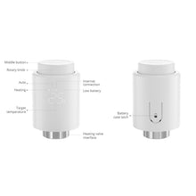 Load image into Gallery viewer, TBD06049042_2.jpg@d7dc9db174273348483e5b2a87f5dc90
