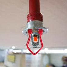 Load image into Gallery viewer, TBD0604923306_3.jpg@b834433b04480ad84545e5373180bf3b
