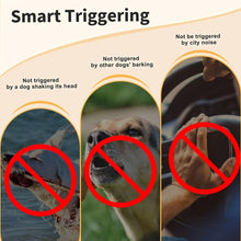 Load image into Gallery viewer, TBD06049989_B4.jpg@04bcaa148ecae20f9992fc01bdd16baa
