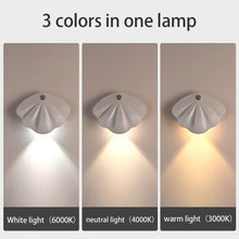 Load image into Gallery viewer, TBD06050548_B2.jpg@1d2cf638946c5bd0e26f193cf484f275
