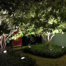 Load image into Gallery viewer, TBD06050946_B11.jpg@3c6aa0fc2bdbe0e507560b66c1cec14d
